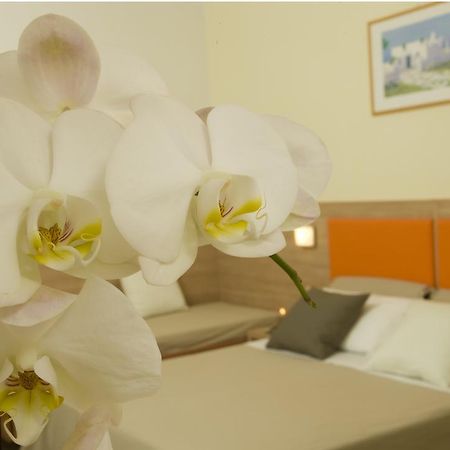 Hotel Consuelo Riccione Esterno foto